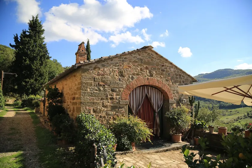 Divinae Cintoia - Image 1
