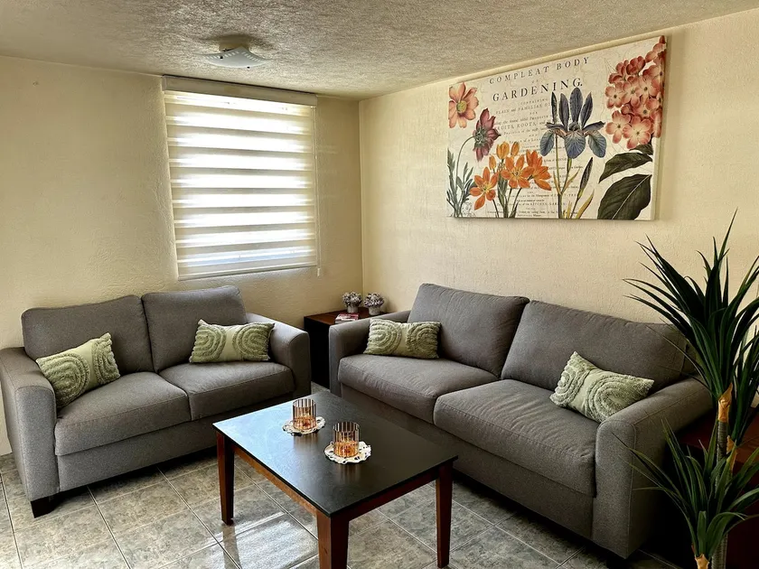 Nice and comfortable house in Toluca - Image 1