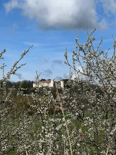The Gîte de Marie Ray Sur Saône - Image 1