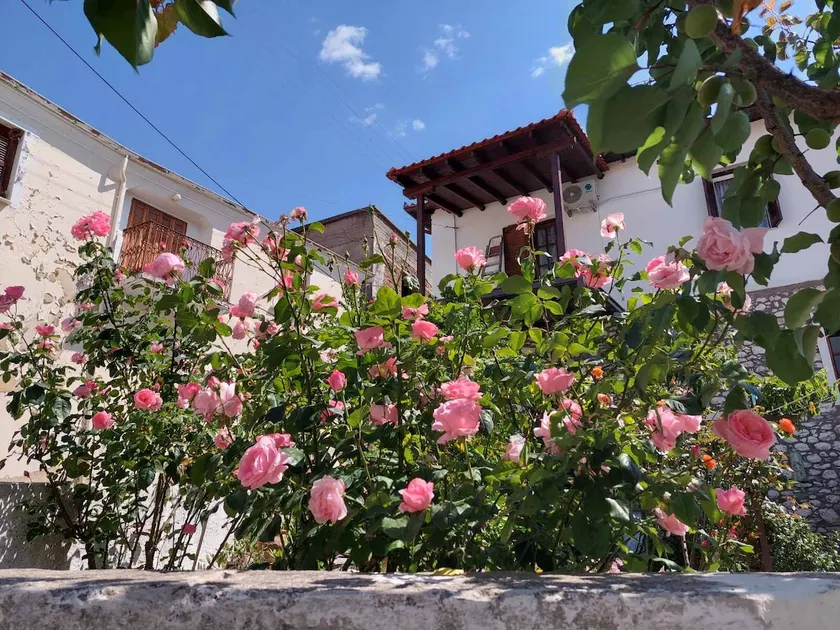 Nafsika's House - Image 1