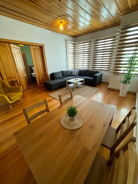 Luxury Mansion House Bursa(301) - Image 1