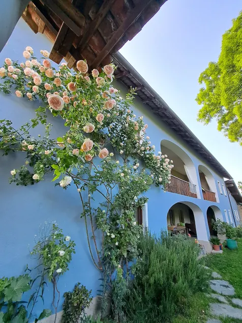 LestanzediMarta, bright apartment in the countryside - Image 1