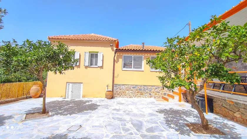 Vitilo sweet home - Image 1