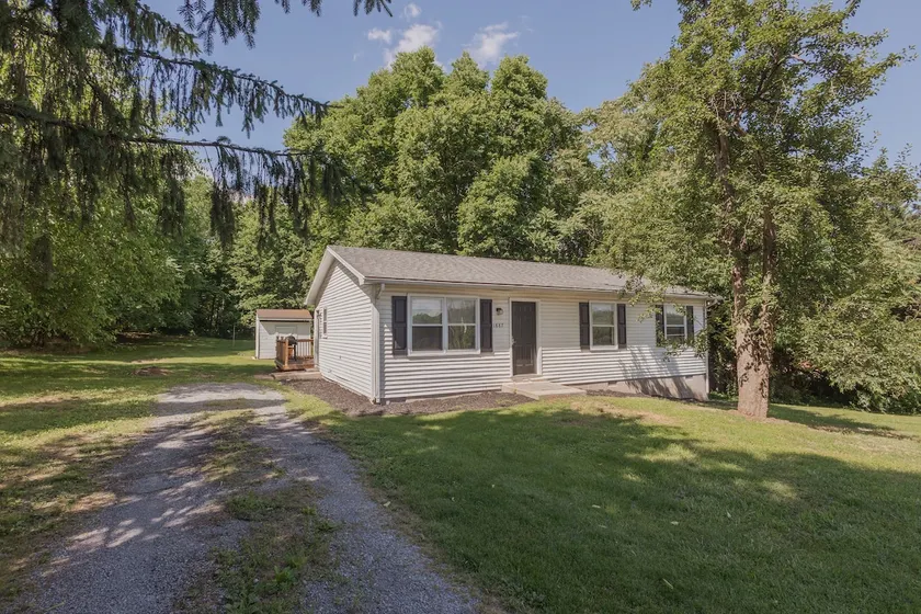 The Short Shack - Image 1