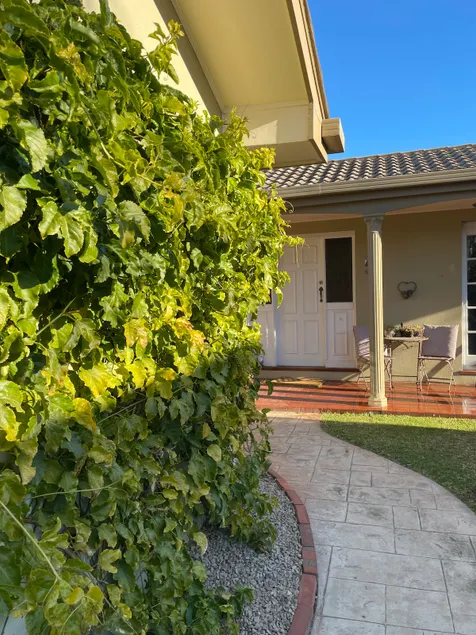 Private spacious central home - Image 1