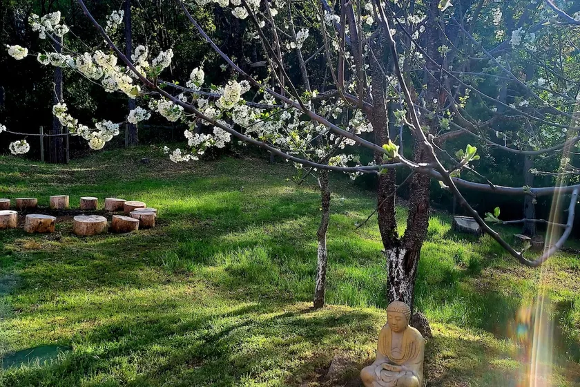 Quiet Nature Retreat - Image 1