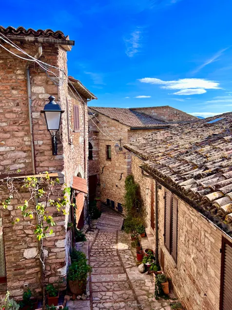 At a Slow Pace in Collepino – Spello / Assisi - Image 1