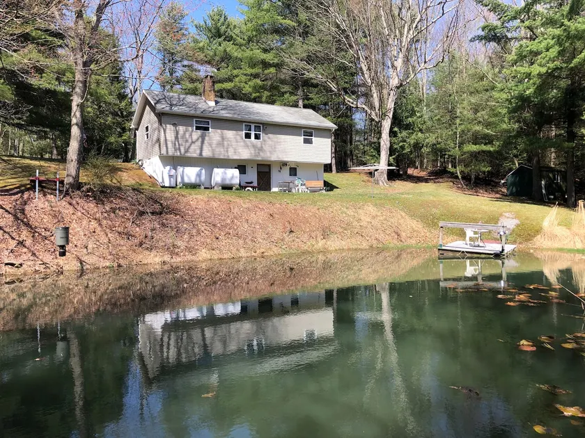 Cottage in the woods - Image 1