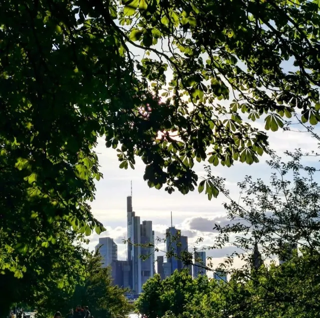 Close to the center and directly on the park. - Image 1