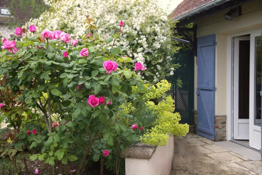 Clair logis, Giverny - Image 1