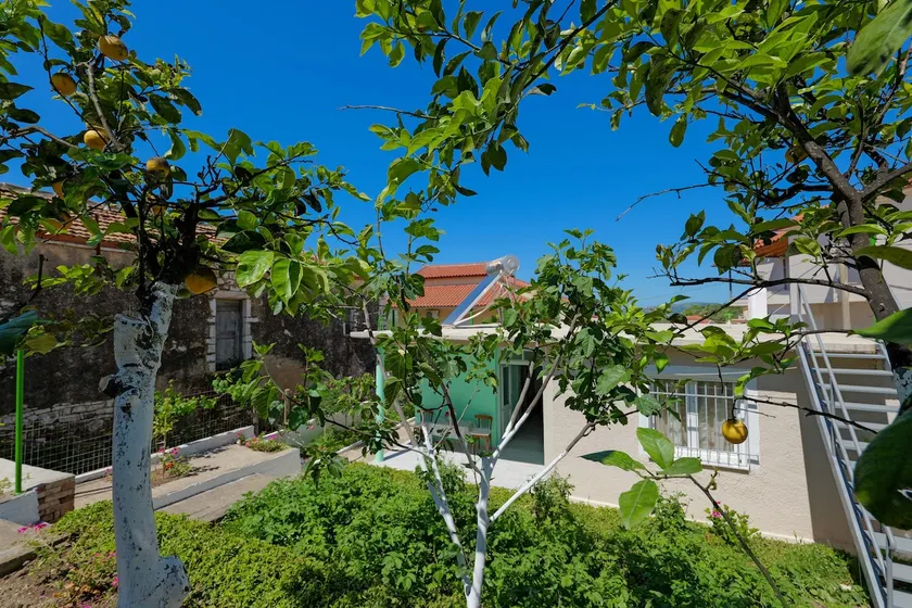 Citrus Yard - Image 1