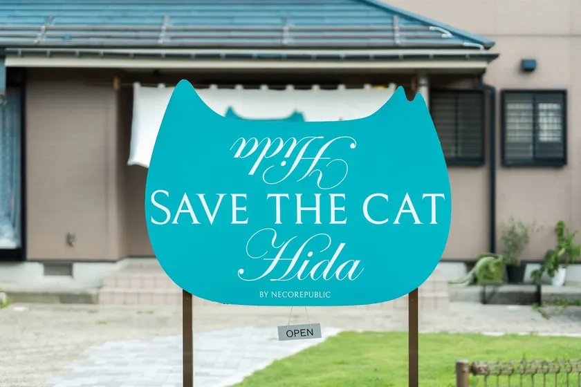 How about a private lodging where you can volunteer to take care of protected cats? - Image 1