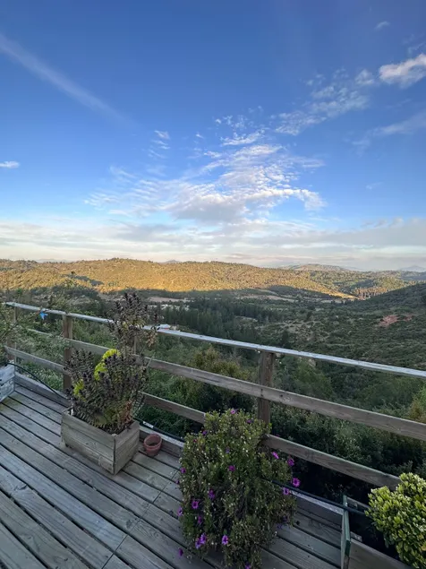 Private cabin, beautiful view. - Image 1