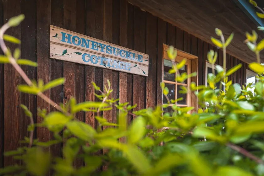 Honeysuckle Lorne - Image 1