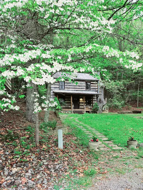 Healing Waters Cabin - Image 1