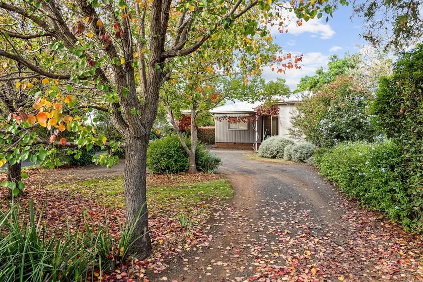 The Willows - Country Cottage - Image 1