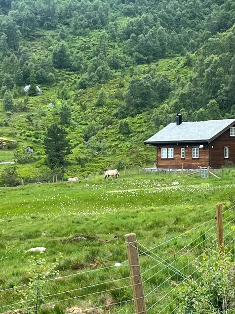 Byrkjesete Stølen - Image 1