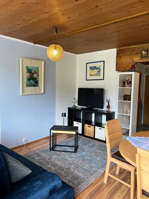 Enzian Apartment - Image 1