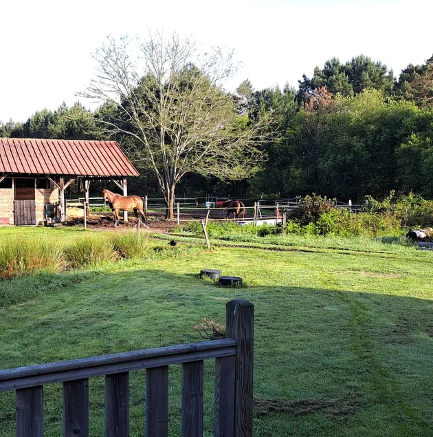 Air-conditioned gîte l'Ostal Tchanqué with horse view - Image 1