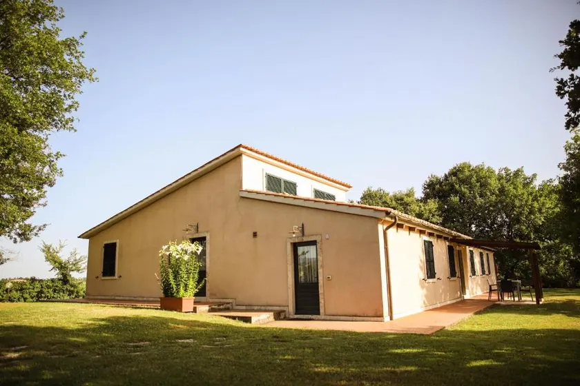 Apartment - near Saturnia - Image 1