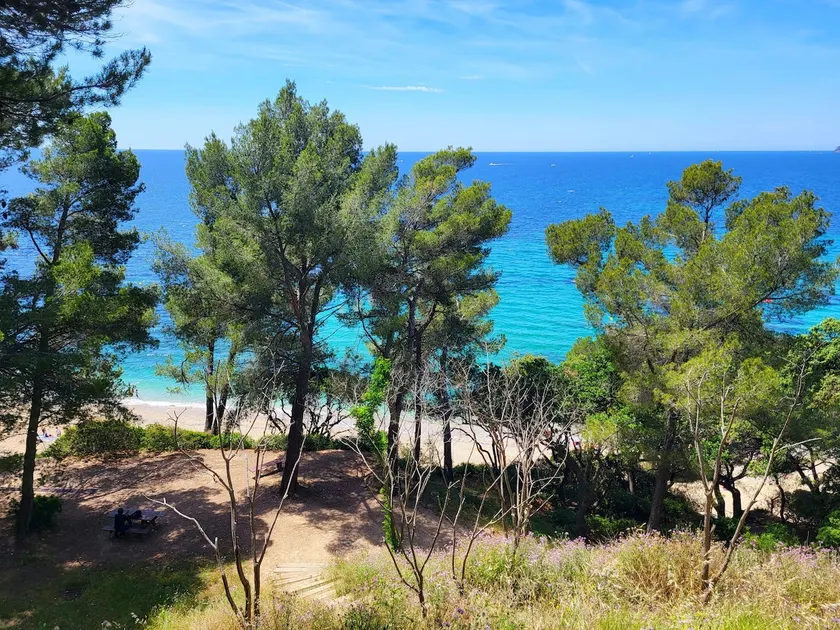 Beachfront cottage for rent - Image 1
