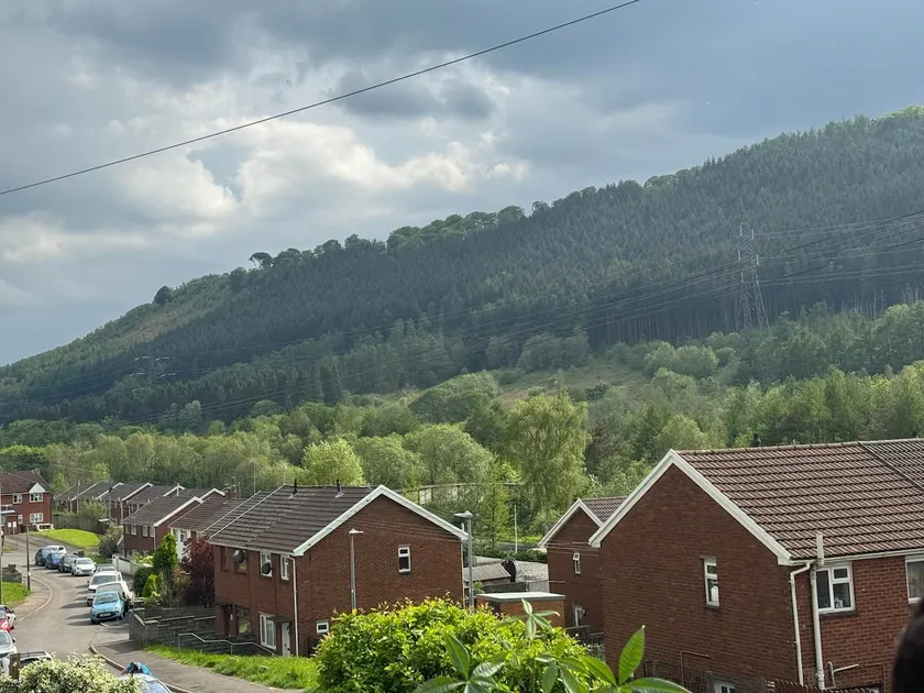 Mountain View /Merthyr Vale - Image 1