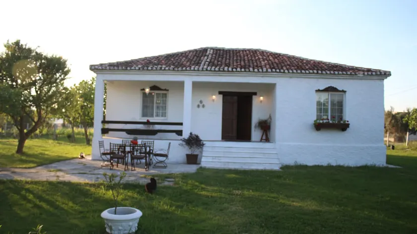 "Per Mik" cottage in vineyard - Image 1