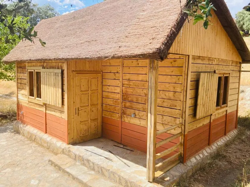 Cabin with panoramic views - Image 1