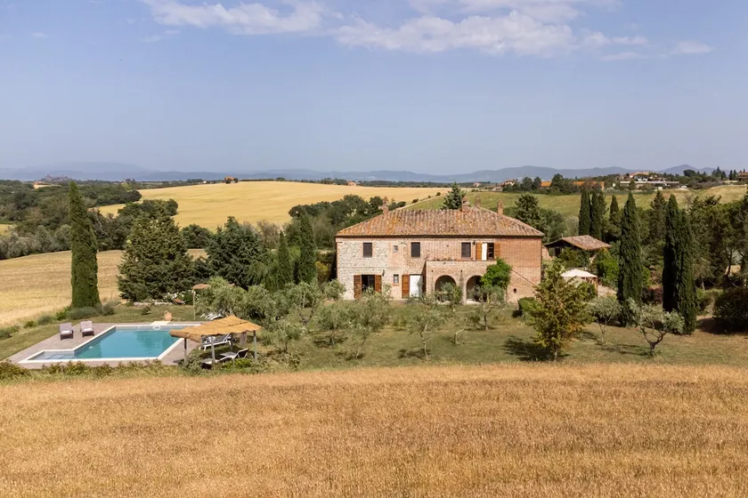Olive tree - Delightful apartment in the countryside - Image 1