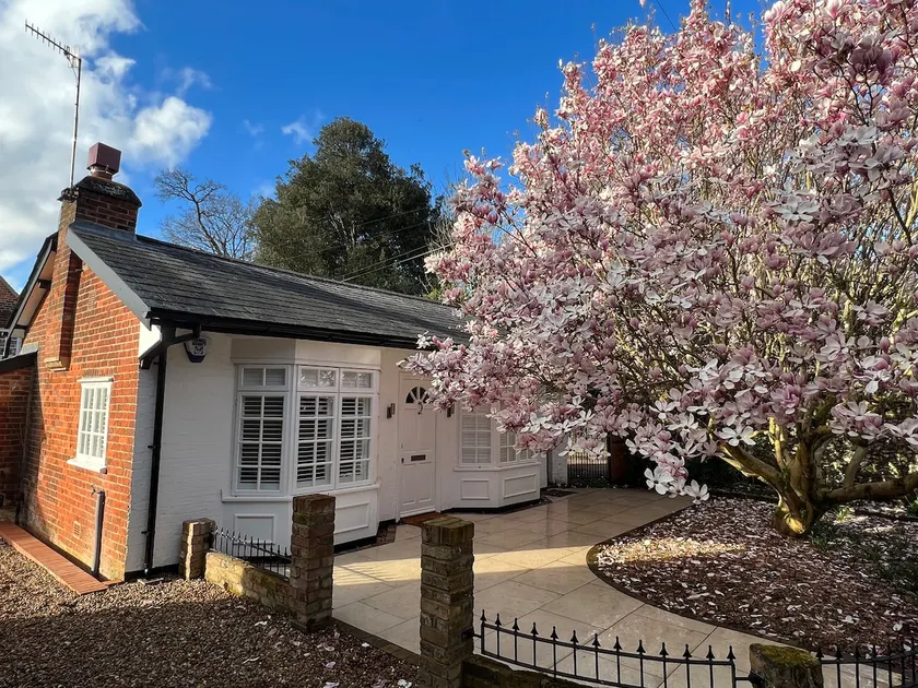 Luxury lodge in Ware - Image 1