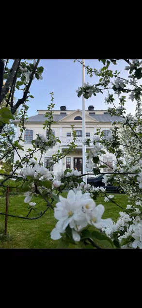 Accommodation in turn-of-the-century house in Härnösand - Image 1