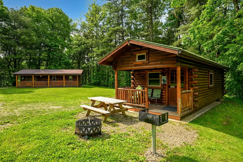 Black Bear- 1 bedroom w/fire ring - Image 1