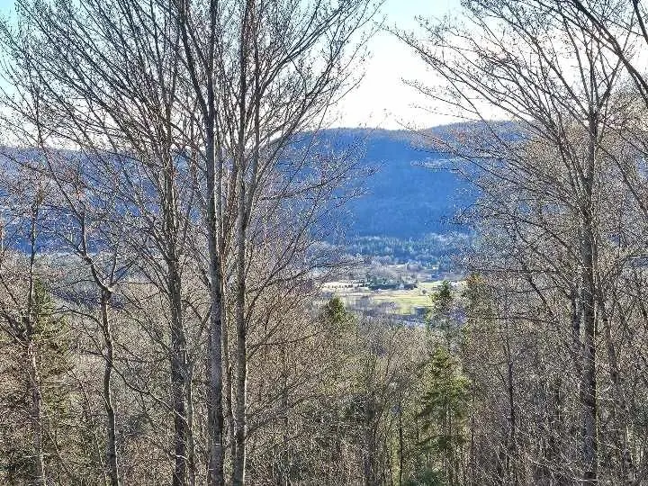 Loft and relaxation in nature - Image 1