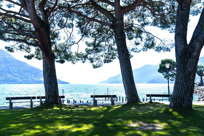 House on the Lake - lake front - Image 1