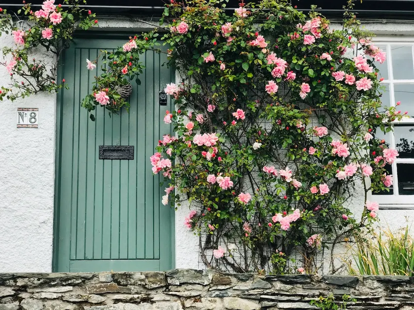 Lilac Tree Cottage, Greyabbey, Strangford Lough, Co Down, N.Ireland - Image 1