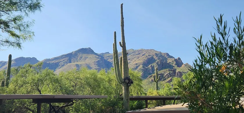 Your Serenity in a Sonoran Oasis - Image 1