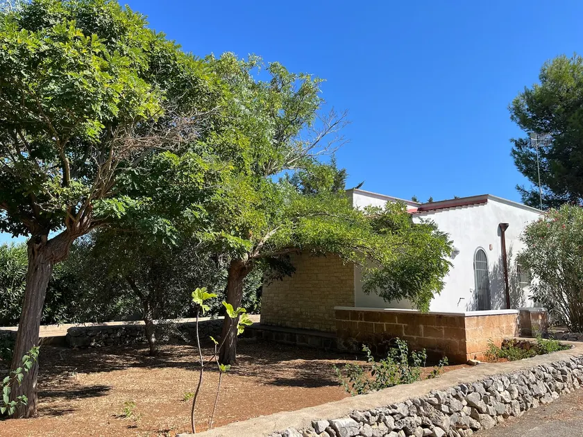 Casette Camardia 4 - Image 1