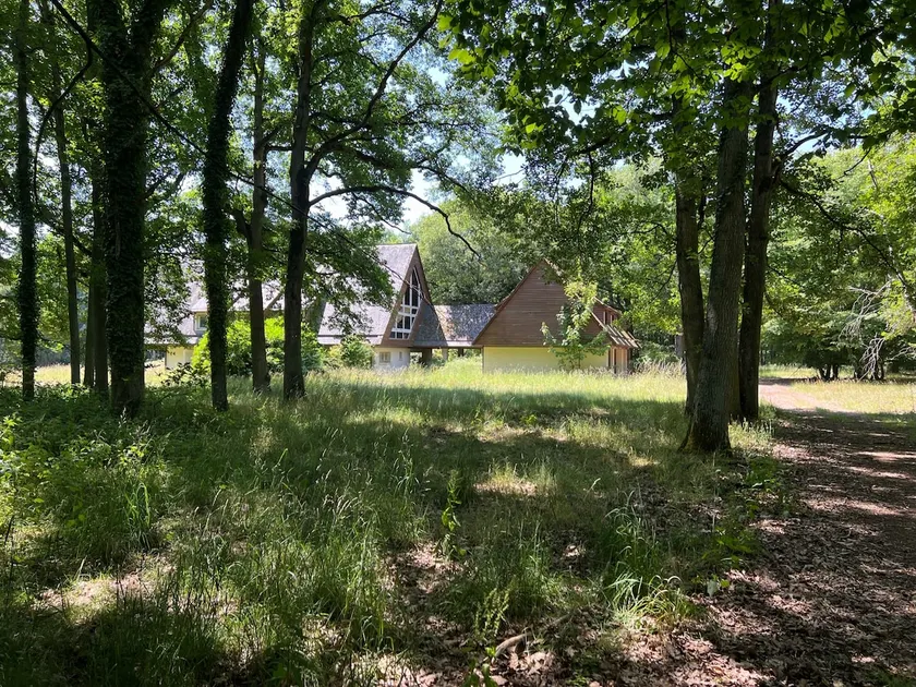 3-bedroom apartment surrounded by nature - Image 1