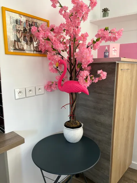 Pink Flamingo house, Tillé airport: 2/4 people - Image 1