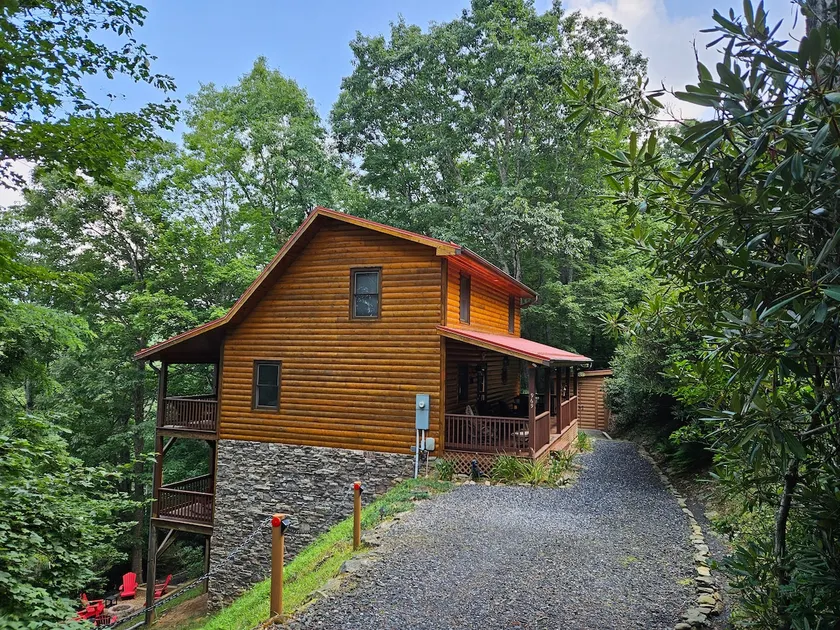 The Bear Hideout - Image 1