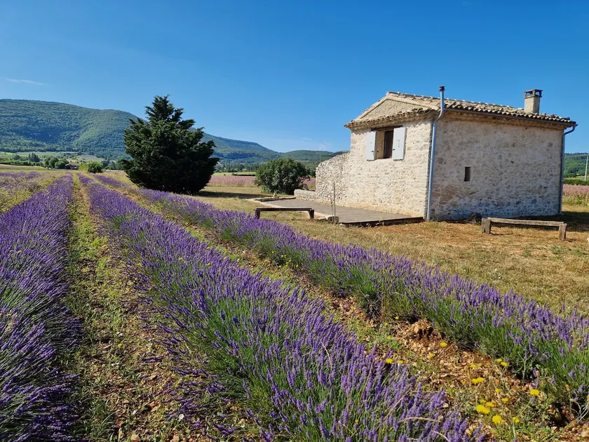 The Hermas barn - Image 1