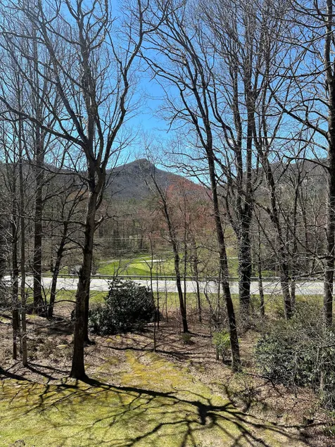 The Dogwood Condo - Image 1