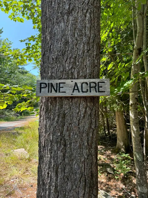 Pine Acre - Image 1