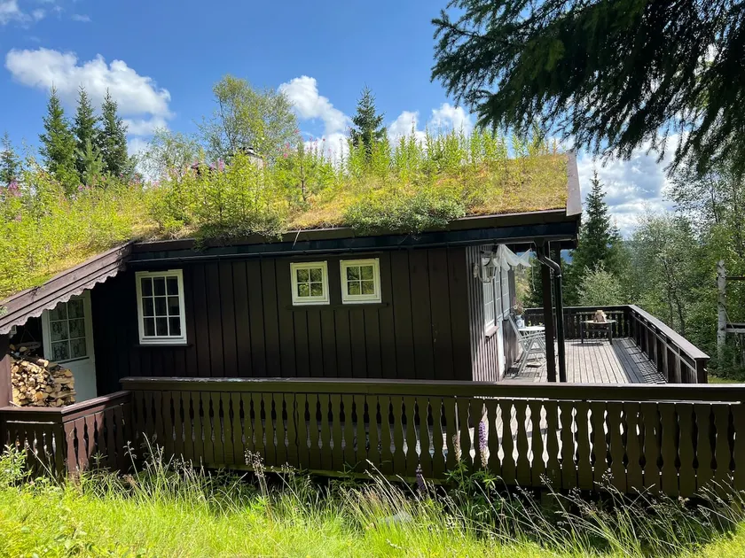 Cozy family cabin in Vinje - Image 1