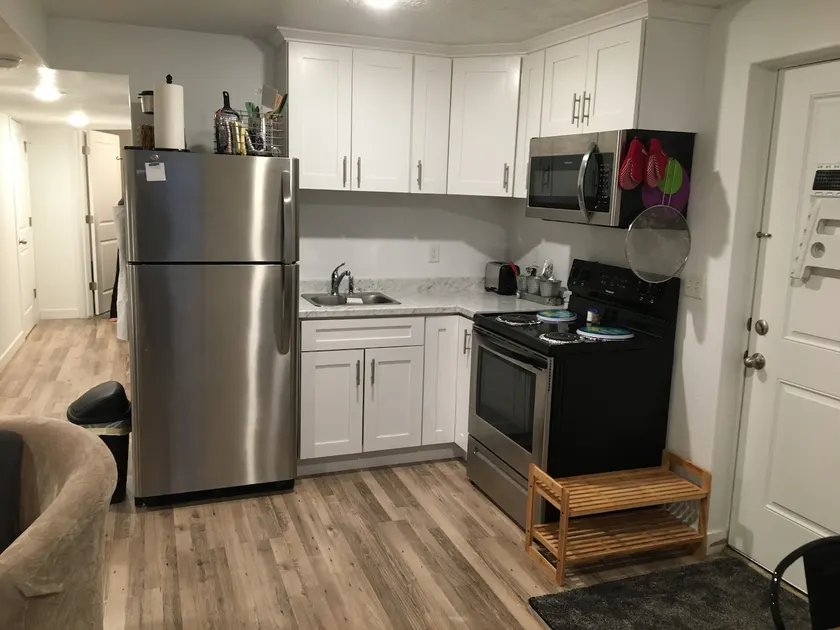 Spring Lake Basement - Image 1