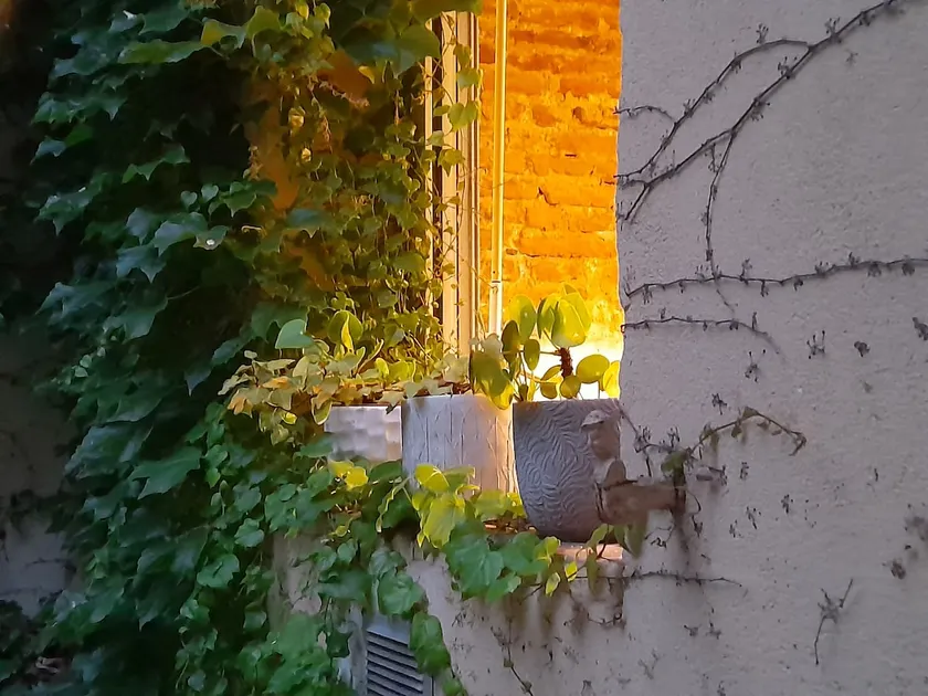 La Maison de Maila - Image 1