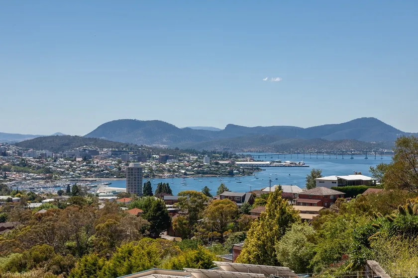 The Lookout - Image 1
