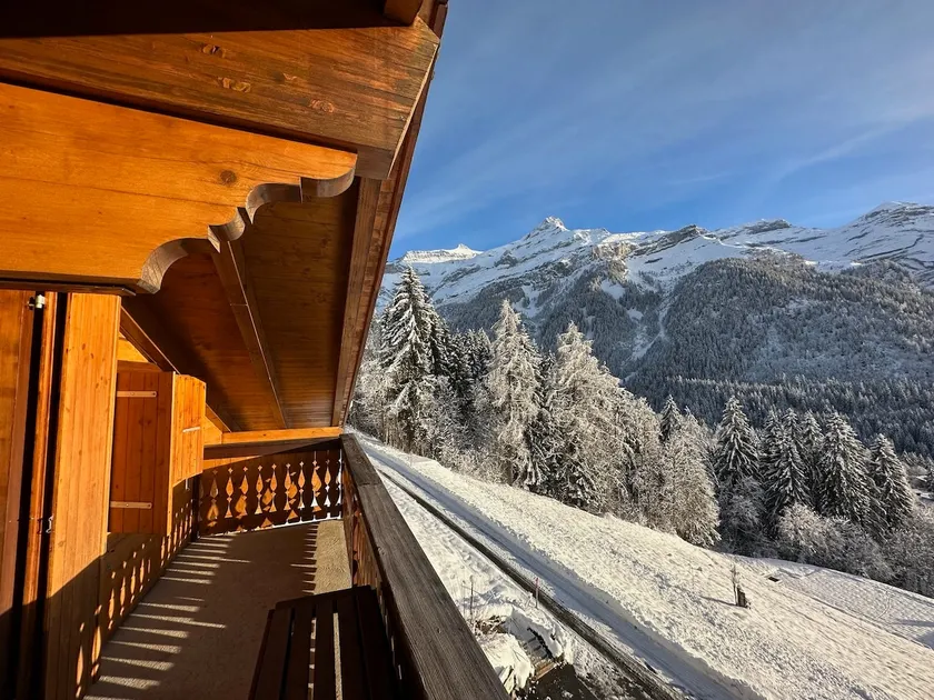 Nice apartment, Ormont-Dessus - Image 1