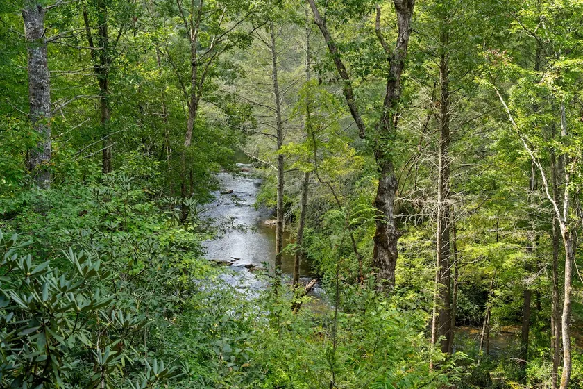 Roaring Waters Retreat - Image 1