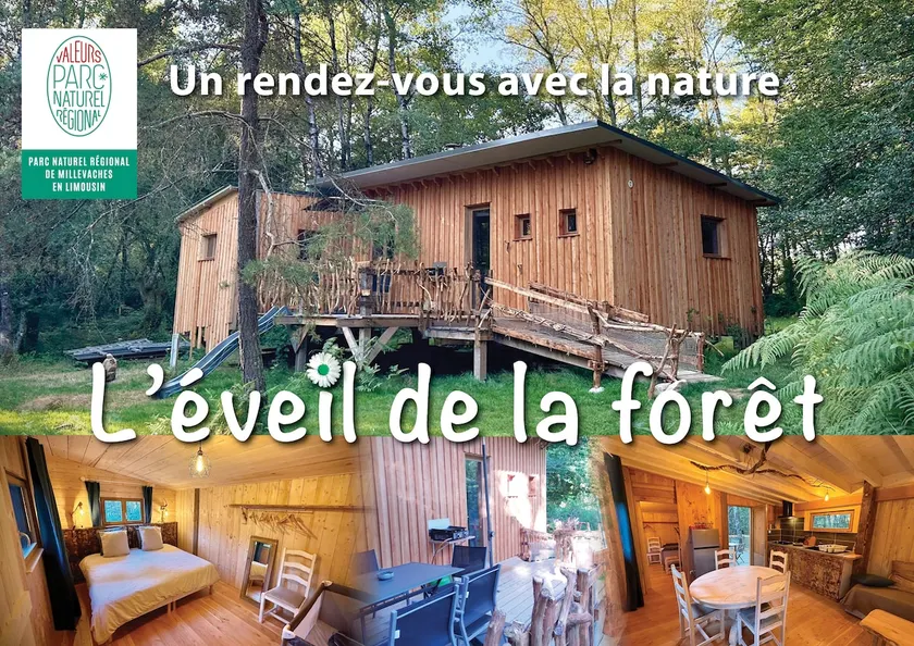 L'éveil de la forêt 2 Gîte - Image 1